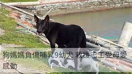 taronews.tw-copy1-20200511-00:39