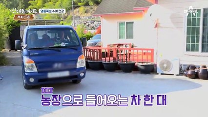 하루 500kg! 오직 수작업으로만 가능한 죽순 손질!?