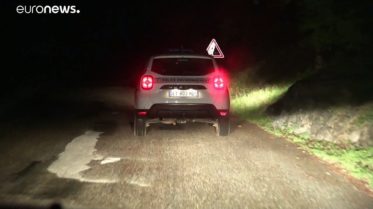 Lockdown: Das Paradies für Wildtiere