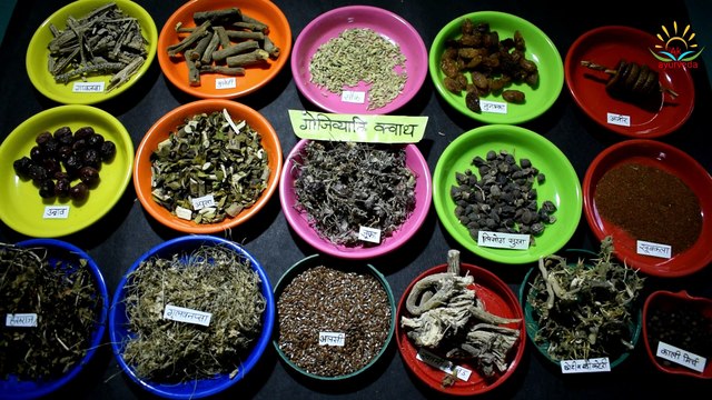 Gojihwadi Kashaya – Benefits, Dosage, Ingredients, Side Effects