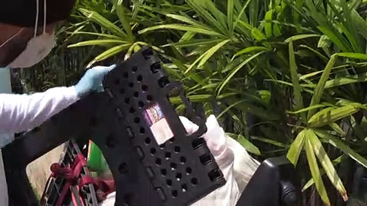 "Caídos del cielo": Voluntarios llevan almuerzos a ancianos en una Caracas en cuarentena