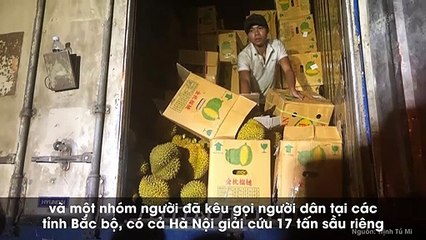 Thực hư việc kêu gọi giải cứu 17 tấn sầu riêng xuất khẩu bị trả lại vì điều hòa hỏng