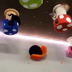 Cats training | best of cats