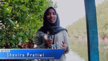 Wisata Restorasi dan Pembelajaran Hutan Mangrove Bekasi