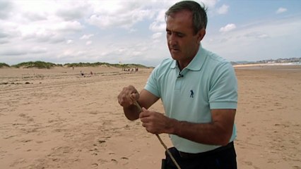 SEVE: THE MOVIE Clip - The Beginning