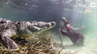 Modelo Faz Sessão Fotográfica Arriscada Ao Posar Dentro De Água Com Crocodilos