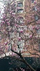 NYC ニューヨーク生活必需品以外の外出禁止 Day 1 - 3/21/2020