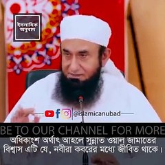 নবীজির রওজা মোবারকের পিলারে কোন দুই কবিতা লিখা আছে? ❤️️ মাওলানা তারেক জামিল ❤️