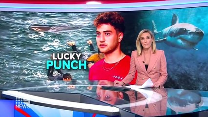 Attaqué par un requin, ce surfeur a survécu en aillant un réflexe incroyable !