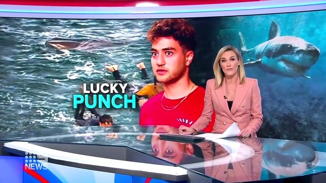 Attaqué par un requin, ce surfeur a survécu en aillant un réflexe incroyable !