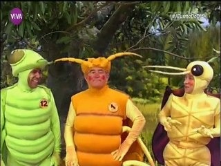 A TURMA DO DIDI 52 EPISODIOS DE 2004