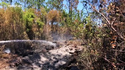 Firefighters battle 'human-caused' blaze under hot midday Florida sun