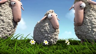 Lambs sheep(SIRAJ CARTOON)