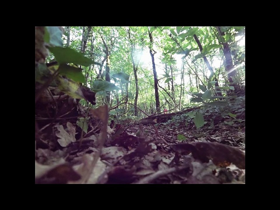 Challenge Tripote et Mascagne Dimanche 10 mai 2020