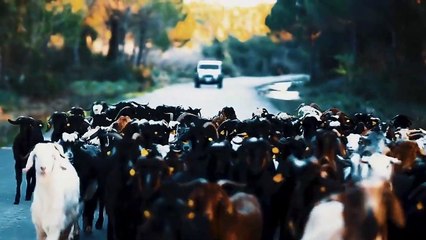 Serseri Bela (Bedircan) - Dönmemek Üzere (Official Video Klip)