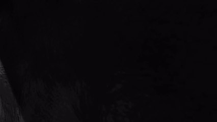 Secret  of Avocado seed!   How to eat avocado seeds?