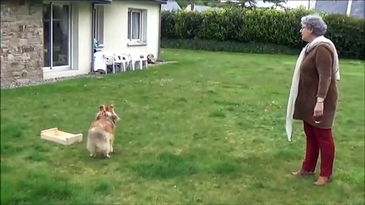 Challenge en musique pendant le confinement !