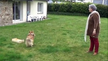 Challenge en musique pendant le confinement !