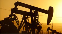 Oil Glut Continues To Drive Down Prices