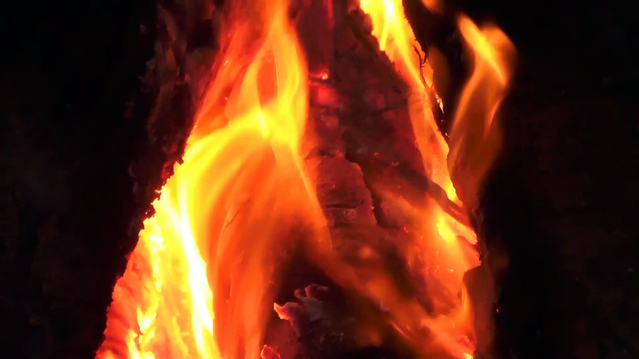 burning woods