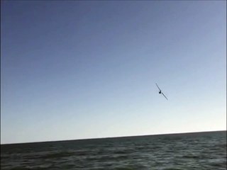 Con piruetas al aire y a muy baja altura captan avioneta en Camahuiroa