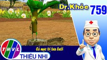 Dr. Khỏe - Tập 759: Cỏ mực trị tưa lưỡi