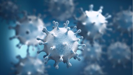 Rock, Meet Hard Place: Flatten The Curve Or Open Up?