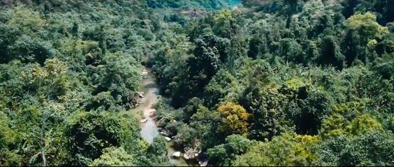 Phim TRUYỀN THUYẾT VỀ QUÁN TIÊN