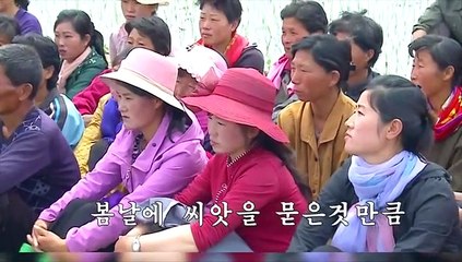 [영상구성] 北 모내기 시작