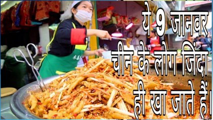ये 9 जानवर चीन के लोग जिंदा ही खा जाते हैं। || People of China eat these 9 animals alive.