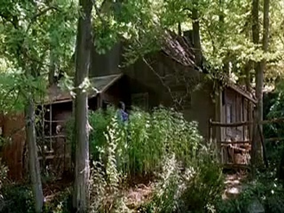 Albert est mechant cannabis