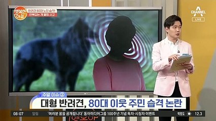 대형 반려견, 80대 이웃 주민 습격 논란