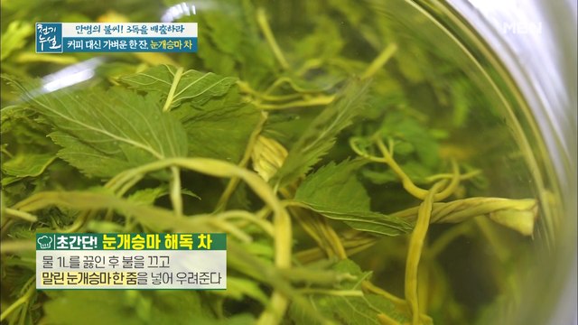 독소 배출에 탁월한 차가 있다? 초간단 해독 차 [눈개승마 차]