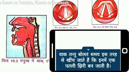 Science Class 8 Chapter 10 ध्वनि (SOUND) iLearn