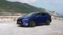 2020 Lexus RX 300 F Sport Design in Blue