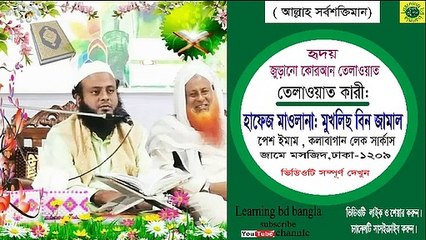 হৃদয় জুড়ানো কুরআন তেলাওয়াত। তেলাওয়াত কারী : মুখলিছ বিন জামাল