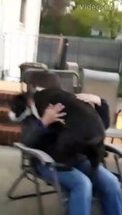 When your 85lb pitbull thinks he's a lapdog