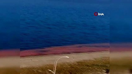 Kurşunlu'da deniz turuncuya döndü