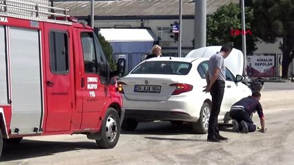 ÇANAKKALE Otomobilin motorundan çıkarılan kedi, itfaiye aracının motoruna girdi
