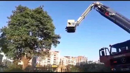 Yuvasından düşen yavru kuşa itfaiye yetişti