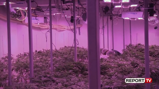 Kanabisi mjekësor, pas propozimit të Ramës, ja problemet me të cilat përballet Maqedonia e Veriut