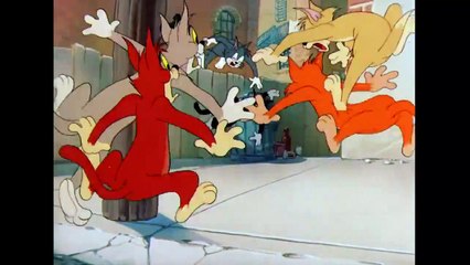 Tom and Jerry  Jerry's Cousin Muscles Mouse  Funny Cartoon