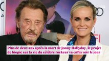 Johnny Hallyday : Olivier Marchal va réaliser un biopic sur le chanteur