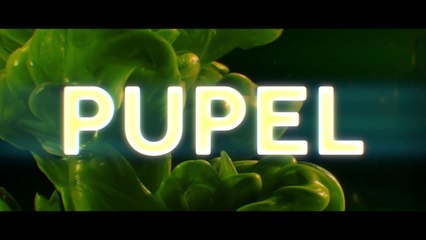 Baba Li ft. Denada - Pupel (Official Video) | Prod. MB Music