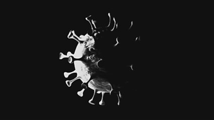 Corona virus information in India and Pakistan//     Covid-19 attack in world