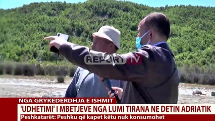 Report Tv- Ishëm, mbetjet mbushin rrjetat e peshkatarëve: Situata është e rëndë