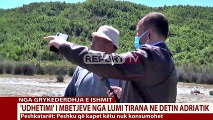 Video herunterladen: Report Tv- Ishëm, mbetjet mbushin rrjetat e peshkatarëve: Situata është e rëndë