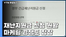 긴급재난지원금 신청 첫날 대체로 원활...마케팅 경쟁도 '잠잠' / YTN
