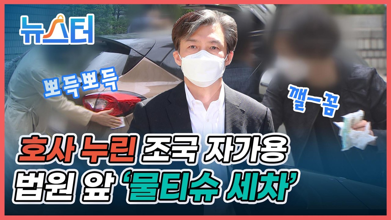 조국 지지자들의 못 말리는 ‘조국 사랑’... 이번엔 법원 앞에서 물티슈 세차?!!! [뉴스터]