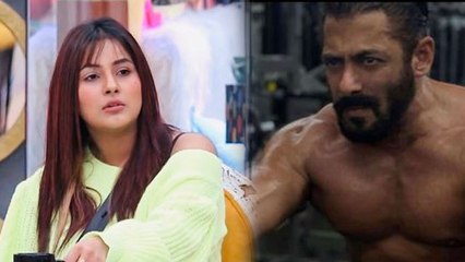 Shehnaz Gill और Salman Khan में कड़ा मुकाबला, Keh Gayi Sorry और Tere Bina में होगी टक्कर | FilmiBeat